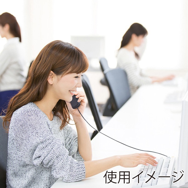 サンワサプライ USBハンドセット ブラック MM-HSU06BK 1個（ご注文単位1個）【直送品】