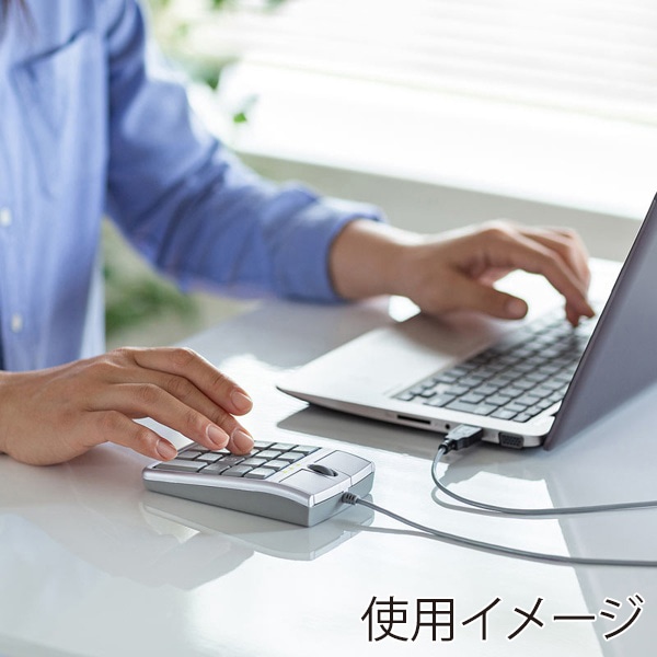 サンワサプライ テンキーマウス NT-MA1 1個（ご注文単位1個）【直送品】