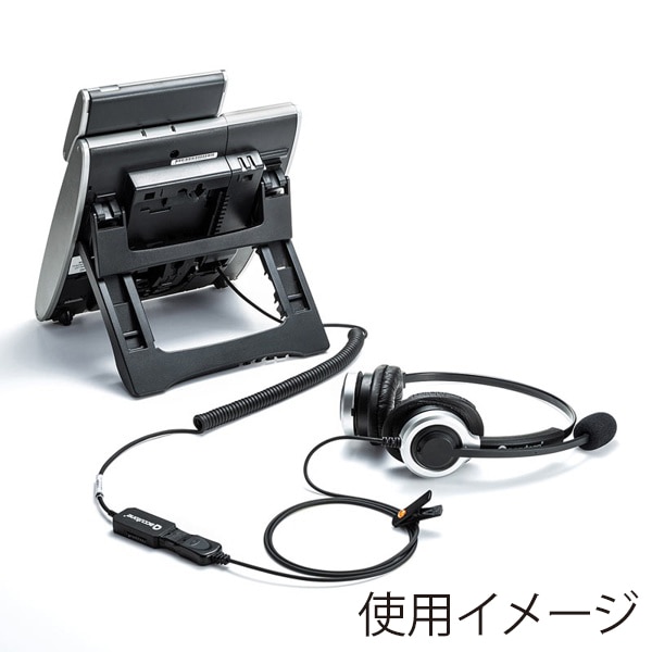 サンワサプライ 電話用ヘッドセット 両耳タイプ MM-HSRJ01 1個(ご注文単位1個)【直送品】