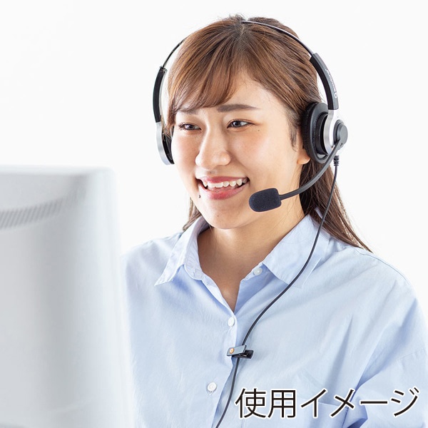 サンワサプライ 電話用ヘッドセット 両耳タイプ MM-HSRJ01 1個(ご注文単位1個)【直送品】