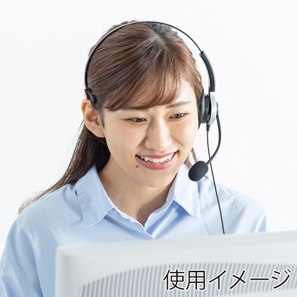 サンワサプライ 電話用ヘッドセット 片耳タイプ MM-HSRJ02 1個(ご注文単位1個)【直送品】