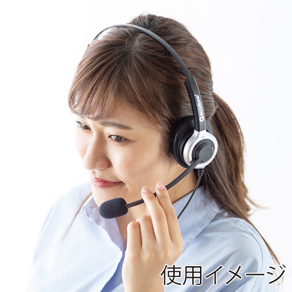 サンワサプライ 電話用ヘッドセット 片耳タイプ MM-HSRJ02 1個(ご注文単位1個)【直送品】