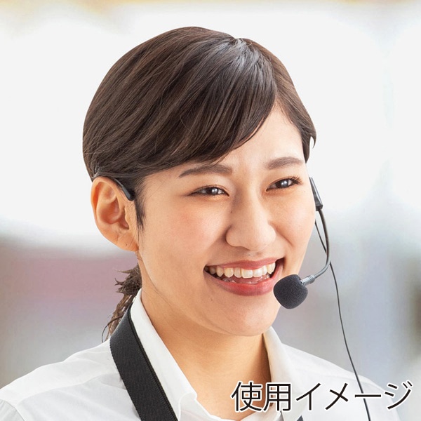 サンワサプライ ヘッドマイク MM-SPAMP9交換用 MM-SPAMP9HM 1個（ご注文単位1個）【直送品】