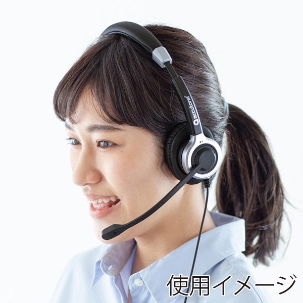 サンワサプライ マイク付きUSBヘッドセット 両耳タイプ アクティブノイズキャンセリング MM-HSU15ANC 1個（ご注文単位1個）【直送品】