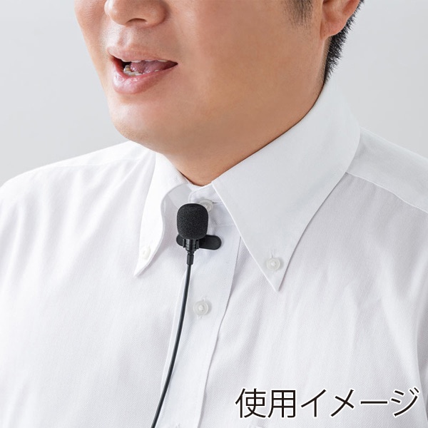 サンワサプライ ワイヤレスピンマイク MM-SPAMP8WPM 1個（ご注文単位1個）【直送品】