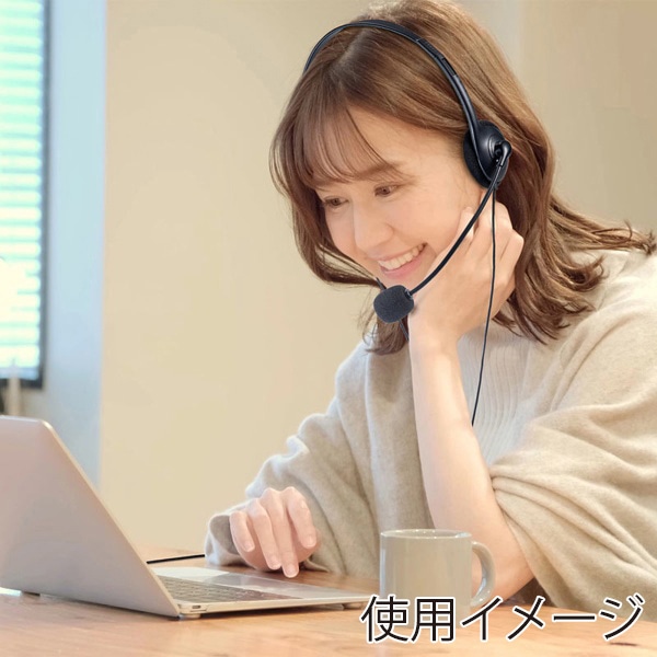 サンワサプライ 4極対応ヘッドセット ブラック MM-HS406BK 1個(ご注文単位1個)【直送品】