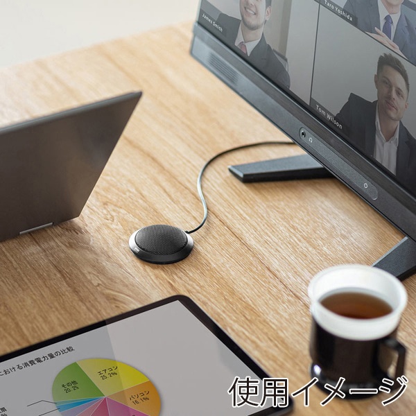 サンワサプライ PCフラット型マイク 4極接続 ブラック MM-MCF02BK 1個(ご注文単位1個)【直送品】