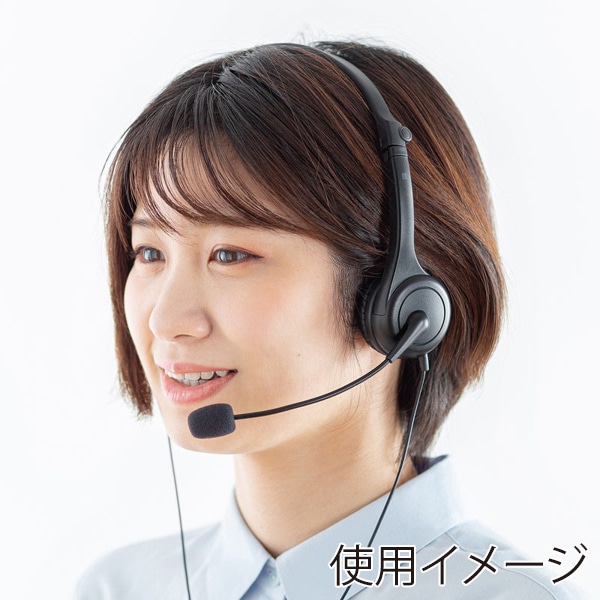 サンワサプライ 4極対応ヘッドセット ブラック MM-HS407BK 1個（ご注文単位1個）【直送品】