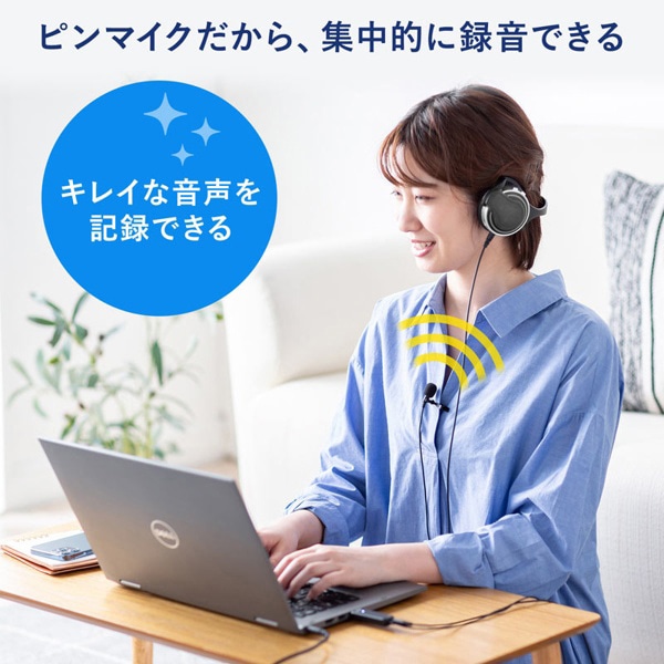 サンワサプライ 高性能USBピンマイク 無（全）指向性 ブラック MM-MCU12BK 1個（ご注文単位1個）【直送品】