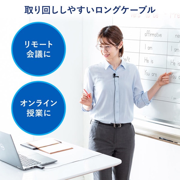 サンワサプライ 高性能USBピンマイク 無（全）指向性 ブラック MM-MCU12BK 1個（ご注文単位1個）【直送品】