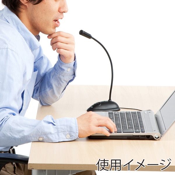 サンワサプライ USBスタンドマイク 単一指向性 ブラック MM-MCUSB25N 1個（ご注文単位1個）【直送品】