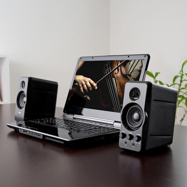 サンワサプライ マルチメディアスピーカー MM-SPL6BKN 1個（ご注文単位1個）【直送品】