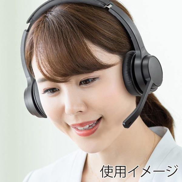 サンワサプライ Bluetooth ヘッドセット 両耳タイプ MM-BTSH62BK 1個（ご注文単位1個）【直送品】