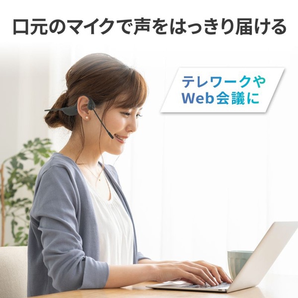 サンワサプライ 骨伝導ヘッドセット MM-BTSH65BK 1個（ご注文単位1個）【直送品】