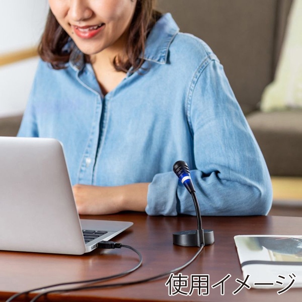 サンワサプライ USBマイクロホン 単一指向性 ブラック MM-MCU03BKN 1個（ご注文単位1個）【直送品】