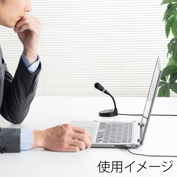 サンワサプライ USBマイクロホン 単一指向性 ブラック MM-MCU03BKN 1個（ご注文単位1個）【直送品】