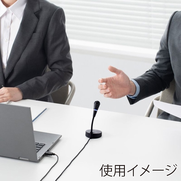 サンワサプライ USBマイクロホン 単一指向性 ブラック MM-MCU03BKN 1個（ご注文単位1個）【直送品】