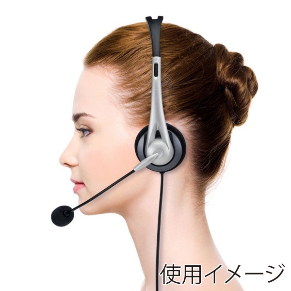 サンワサプライ USBヘッドセット オーバーヘッド両耳 シルバー MM-HSUSB16SVN 1個（ご注文単位1個）【直送品】