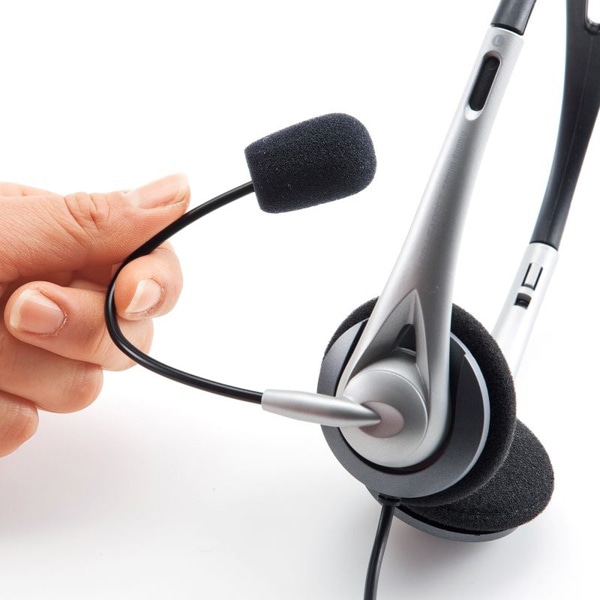 サンワサプライ USBヘッドセット オーバーヘッド両耳 シルバー MM-HSUSB16SVN 1個（ご注文単位1個）【直送品】