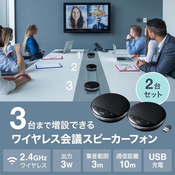 サンワサプライ ワイヤレス会議スピーカーフォン 2台セット MM-WLMSPSET 1個（ご注文単位1個）【直送品】
