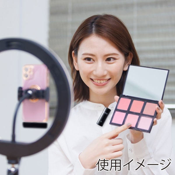 サンワサプライ ワイヤレスマイク マイク1台 MM-MCW01 1個（ご注文単位1個）【直送品】