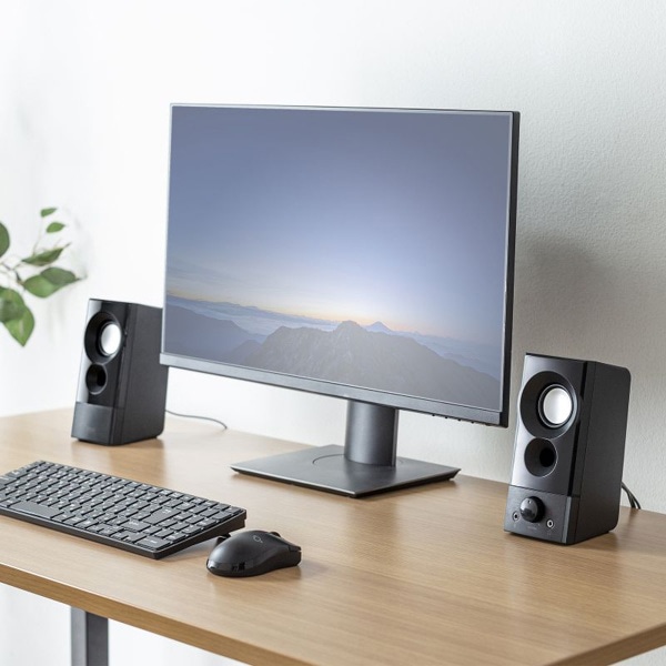 サンワサプライ USB電源スピーカー 実用最大出力6W MM-SPL20UBK 1個(ご注文単位1個)【直送品】