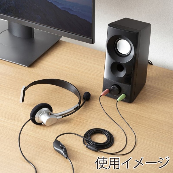 サンワサプライ USB電源スピーカー 実用最大出力6W MM-SPL20UBK 1個(ご注文単位1個)【直送品】