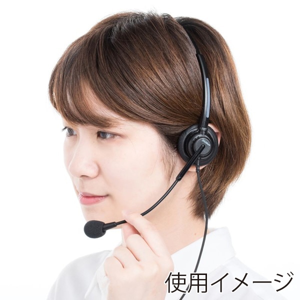 サンワサプライ ガイドシステム用ヘッドセット オーバーヘッド型 MM-WGS4用 MM-WGS4-HS2 1個（ご注文単位1個）【直送品】