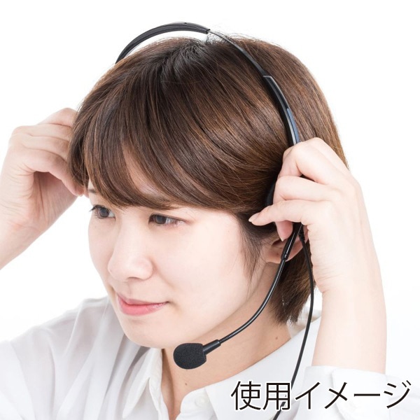 サンワサプライ ガイドシステム用ヘッドセット オーバーヘッド型 MM-WGS4用 MM-WGS4-HS2 1個（ご注文単位1個）【直送品】