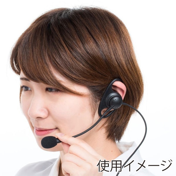 サンワサプライ ガイドシステム用ヘッドセット イヤーフック型 MM-WGS4用 MM-WGS4-HS3 1個（ご注文単位1個）【直送品】