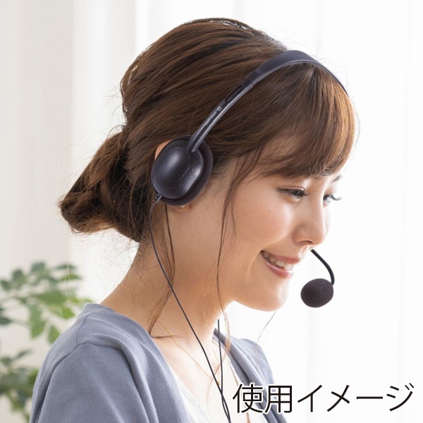 サンワサプライ 4極対応ヘッドセット ブラック MM-HS408BK 1個（ご注文単位1個）【直送品】