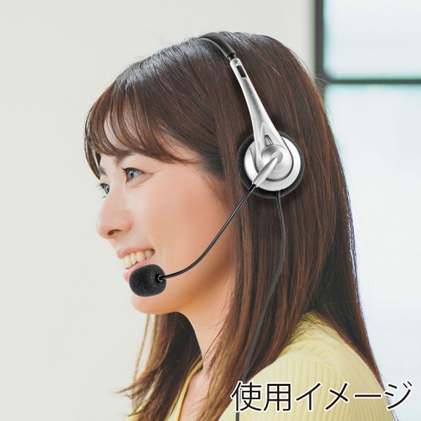 サンワサプライ ヘッドセット USB Type-C シルバー MM-HSTC03SV 1個(ご注文単位1個)【直送品】