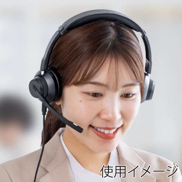 サンワサプライ Bluetooth ステレオヘッドセット MM-BTSH70BK 1個(ご注文単位1個)【直送品】