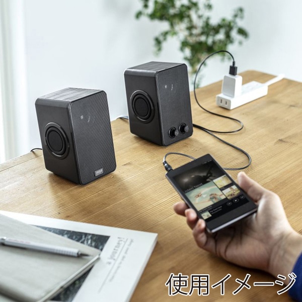サンワサプライ USB電源スピーカー パッシブラジエーター搭載 MM-SPL22UBK 1個（ご注文単位1個）【直送品】