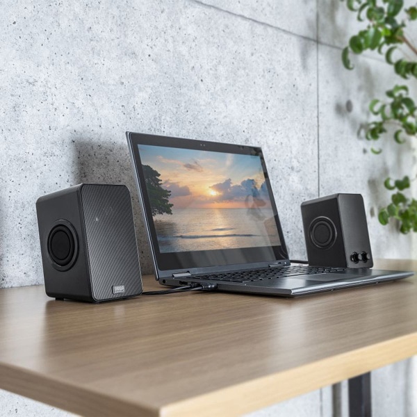 サンワサプライ USB電源スピーカー パッシブラジエーター搭載 MM-SPL22UBK 1個（ご注文単位1個）【直送品】