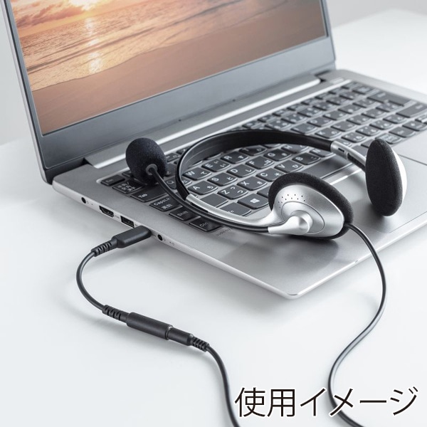 サンワサプライ オーディオ変換アダプタケーブル Type-C MM-ADUSBTC4 1個(ご注文単位1個)【直送品】