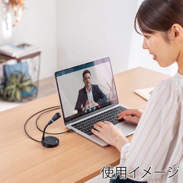 サンワサプライ USBマイク Type-C 単一指向性 ブラック MM-MCTC01BK 1個(ご注文単位1個)【直送品】