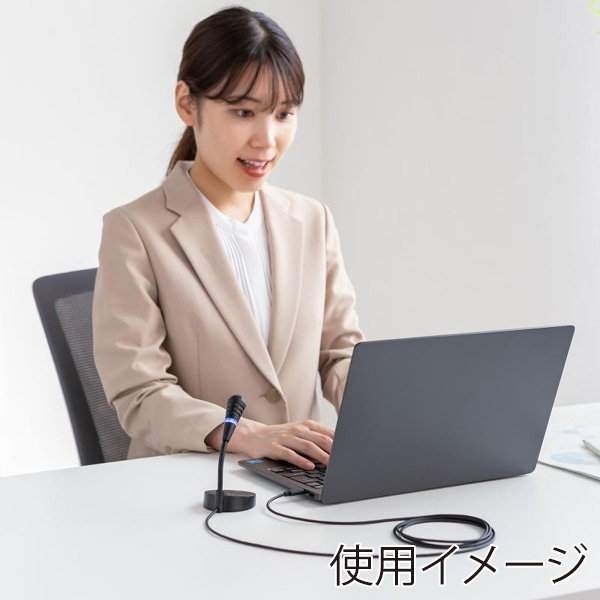 サンワサプライ USBマイク Type-C 単一指向性 ブラック MM-MCTC01BK 1個(ご注文単位1個)【直送品】