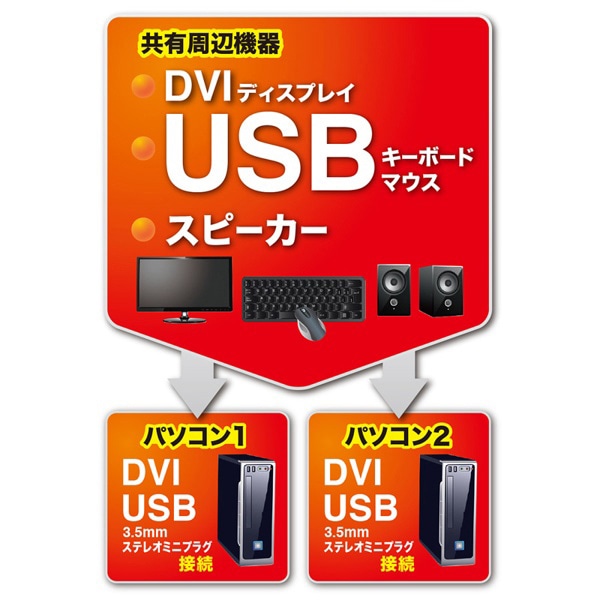 サンワサプライ DVIパソコン自動切替器 SW-KVM2DUN 1個（ご注文単位1個）【直送品】
