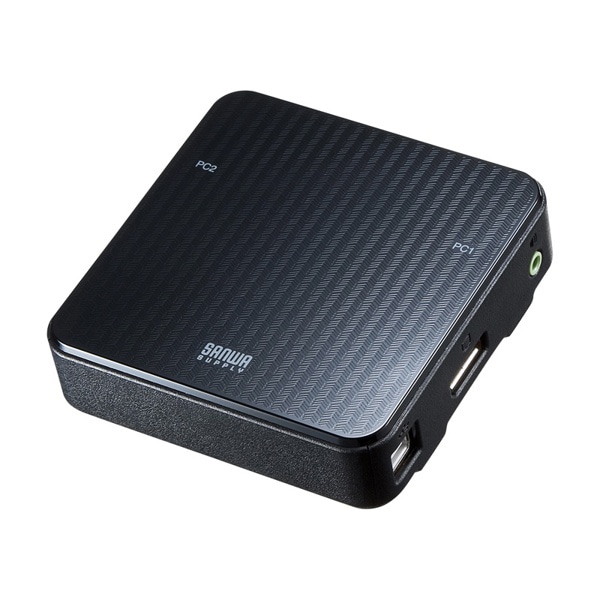 サンワサプライ パソコン自動切替器 手元スイッチ付き 2:1 SW-KVM2WDPU 1個(ご注文単位1個)【直送品】
