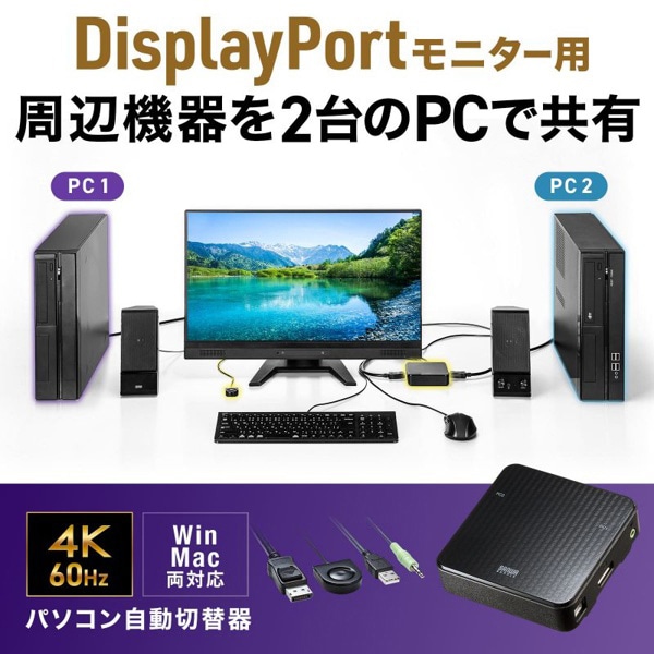 サンワサプライ パソコン自動切替器 手元スイッチ付き 2：1 SW-KVM2WDPU 1個（ご注文単位1個）【直送品】