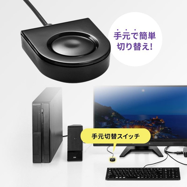 サンワサプライ パソコン自動切替器 手元スイッチ付き 2：1 SW-KVM2WDPU 1個（ご注文単位1個）【直送品】