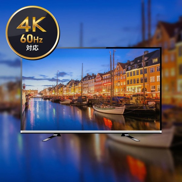 サンワサプライ パソコン自動切替器 手元スイッチ付き 2：1 SW-KVM2WDPU 1個（ご注文単位1個）【直送品】