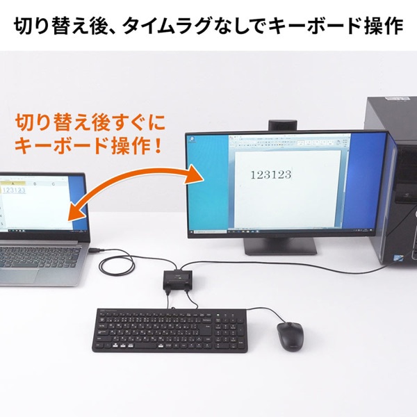 サンワサプライ キーボード・マウス用パソコン切替器 2：1 SW-KM2UU 1個（ご注文単位1個）【直送品】