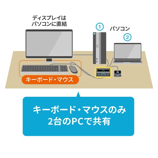 サンワサプライ パソコン切替器 エミュレーション非搭載 手元スイッチ付き SW-KVM2UUSN2 1個（ご注文単位1個）【直送品】
