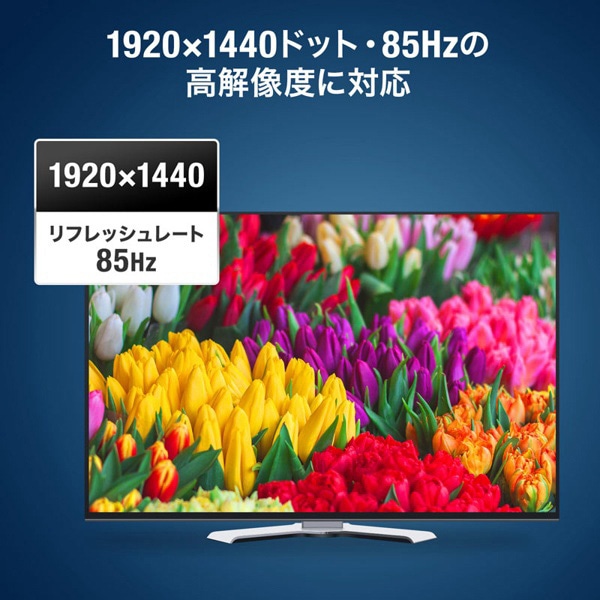 サンワサプライ ディスプレイ切替器 4回路 SW-EV4N2 1個（ご注文単位1個）【直送品】