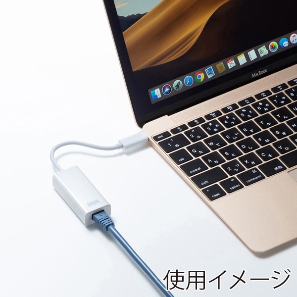 サンワサプライ USB3.2Type-C／LAN 変換アダプタ ホワイト USB-CVLAN2WN 1個（ご注文単位1個）【直送品】