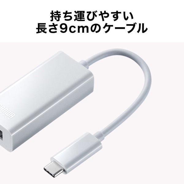 サンワサプライ USB3.2Type-C／LAN 変換アダプタ ホワイト USB-CVLAN2WN 1個（ご注文単位1個）【直送品】
