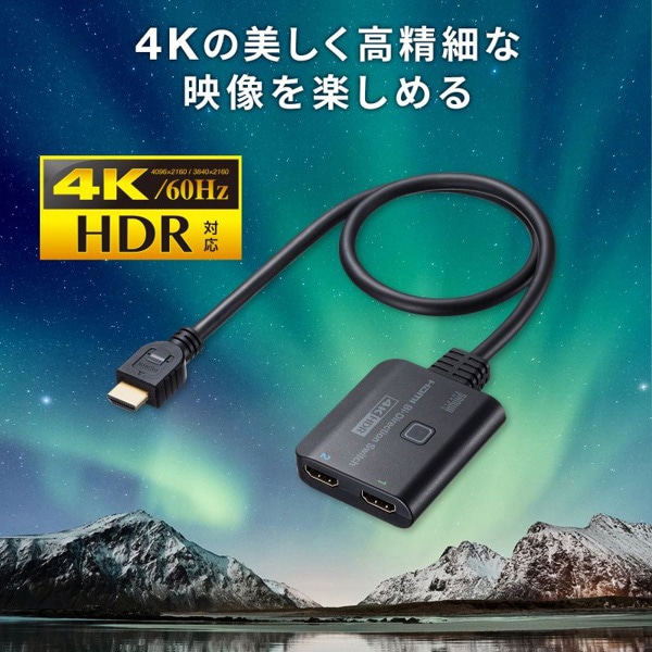 サンワサプライ HDMI切替器 4K・HDR・HDCP2.2対応 SW-HDR21BD 1個（ご注文単位1個）【直送品】