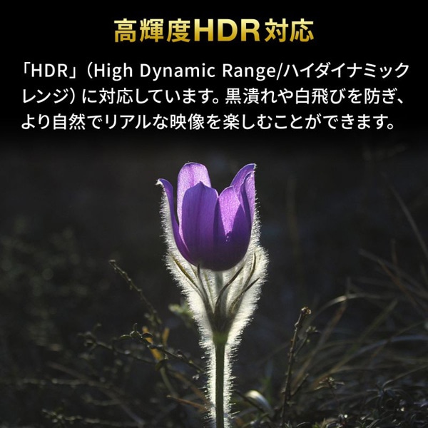 サンワサプライ HDMI切替器 4K・HDR・HDCP2.2対応 SW-HDR21BD 1個（ご注文単位1個）【直送品】